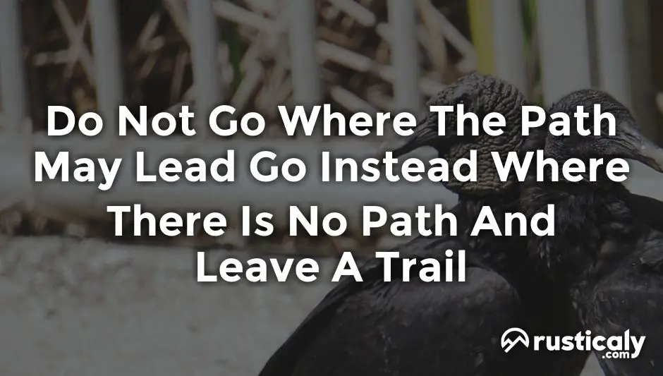 do not go where the path may lead go instead where there is no path and leave a trail