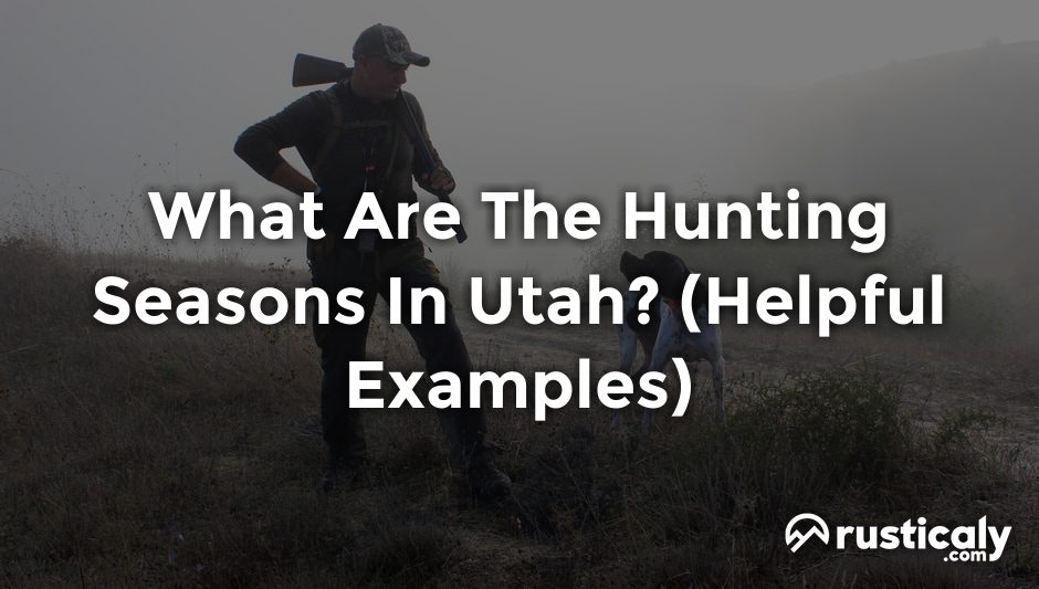 what are the hunting seasons in utah