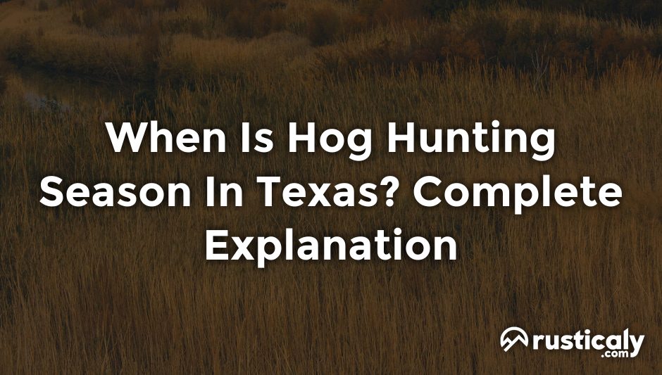 when is hog hunting season in texas