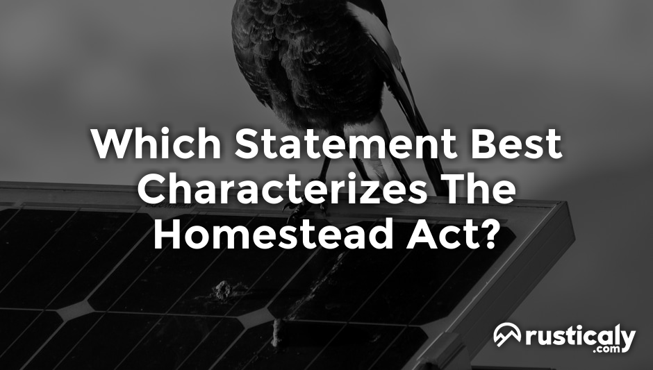 which statement best characterizes the homestead act