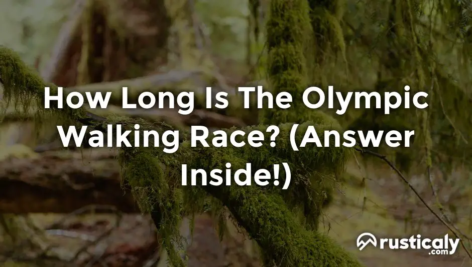how long is the olympic walking race