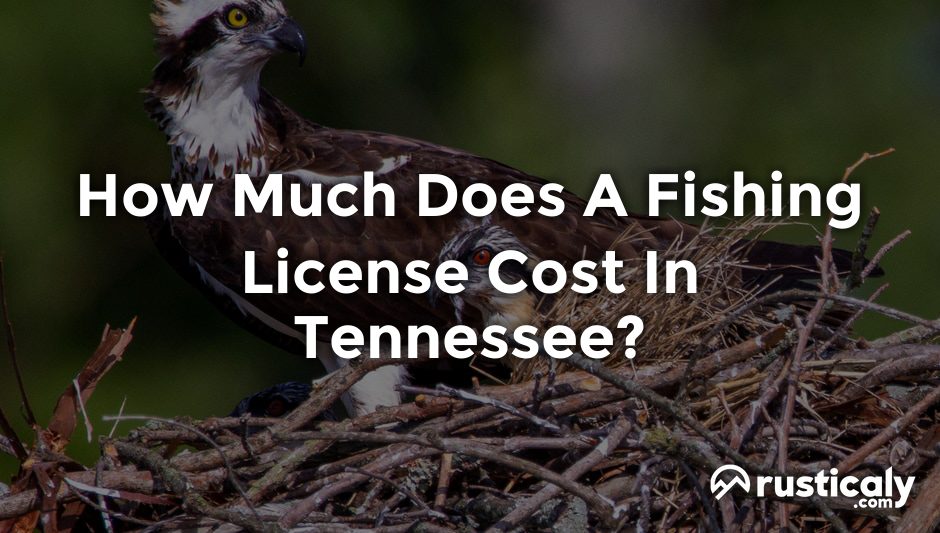 how much does a fishing license cost in tennessee