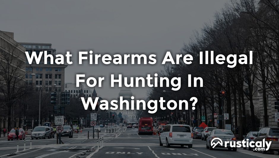 what firearms are illegal for hunting in washington