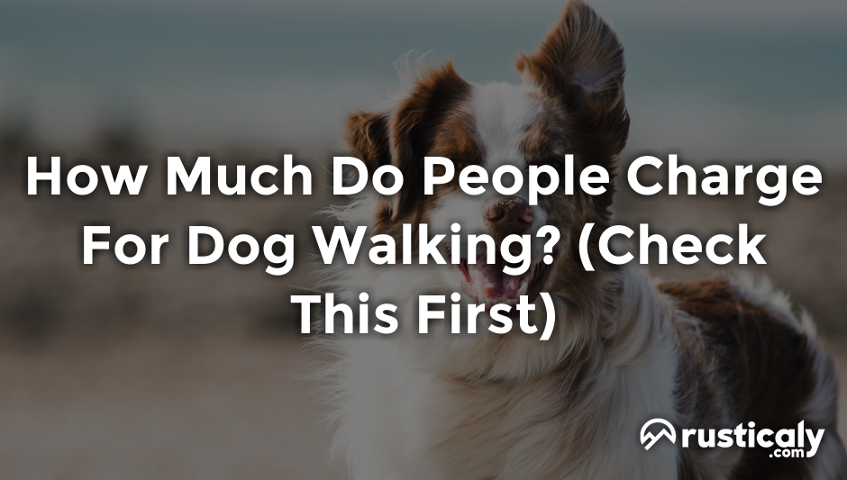 how much do people charge for dog walking