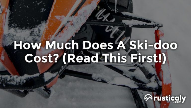 how much does a ski-doo cost