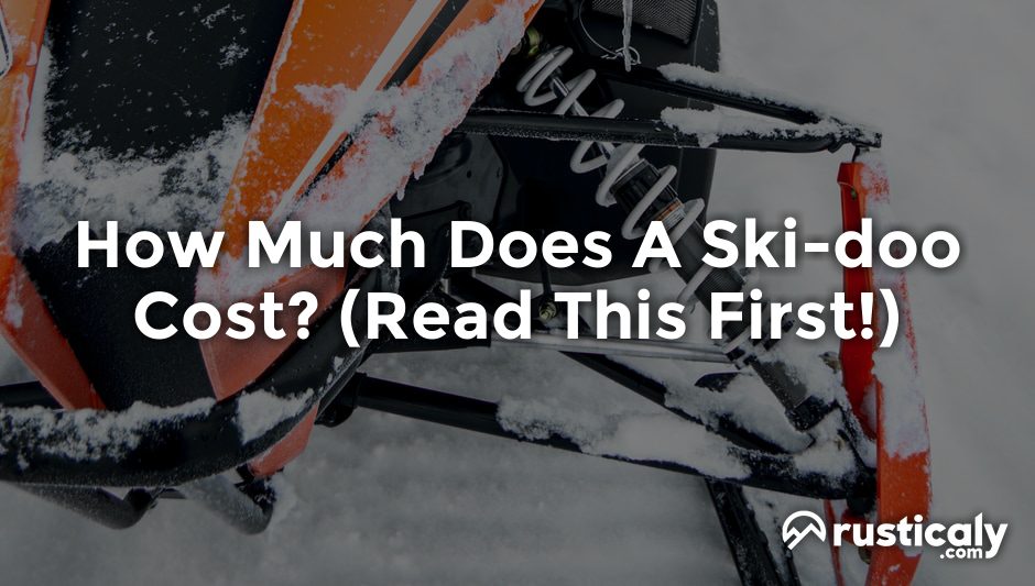 how much does a ski-doo cost
