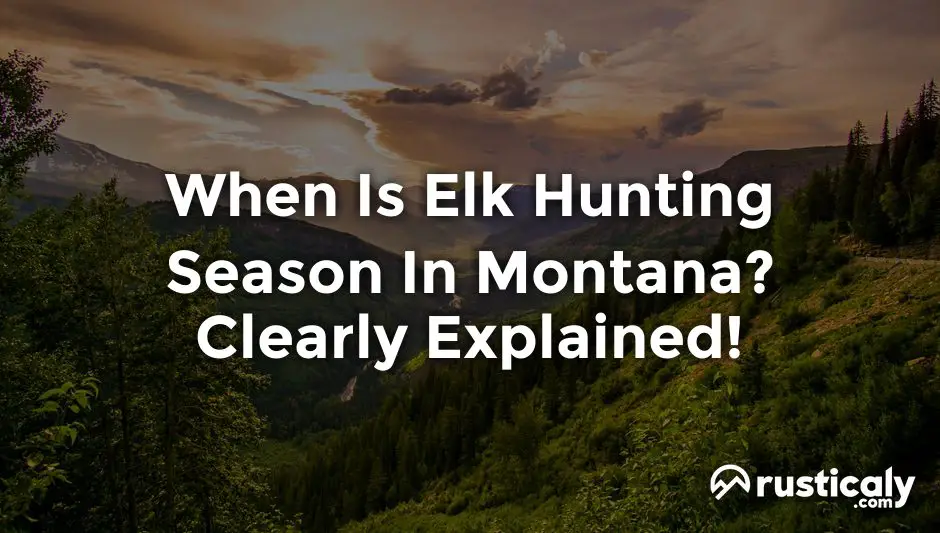when is elk hunting season in montana