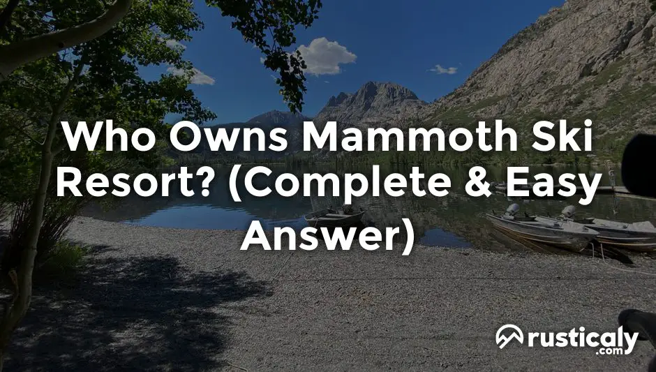 who owns mammoth ski resort
