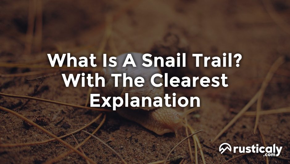 what is a snail trail