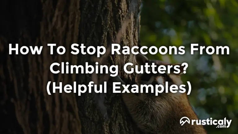 how to stop raccoons from climbing gutters
