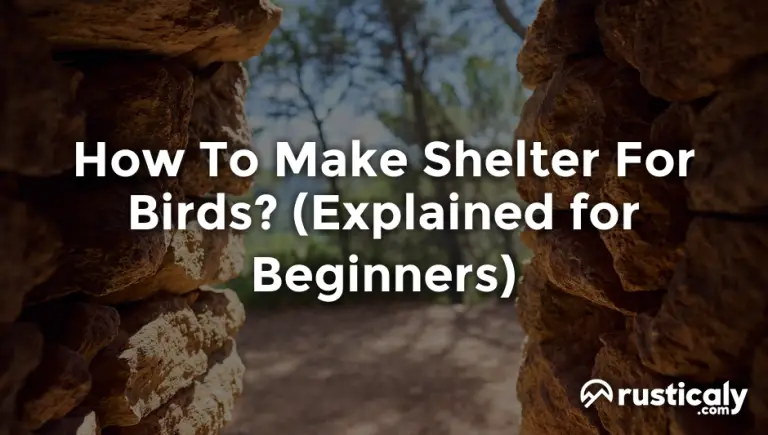 how to make shelter for birds
