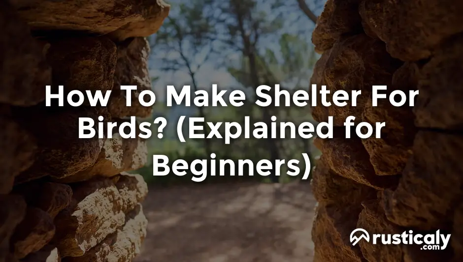 how to make shelter for birds