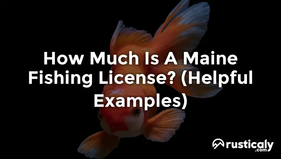 how much is a maine fishing license