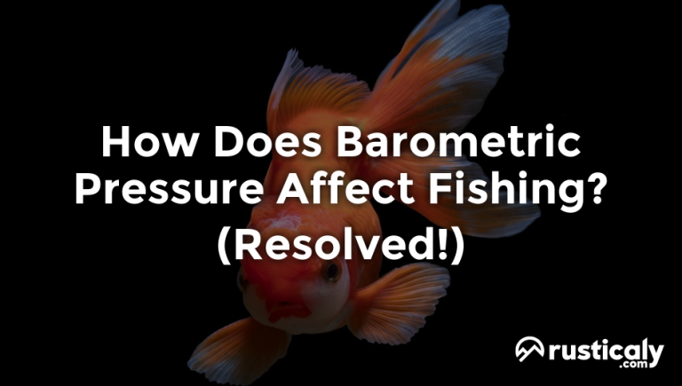 how does barometric pressure affect fishing