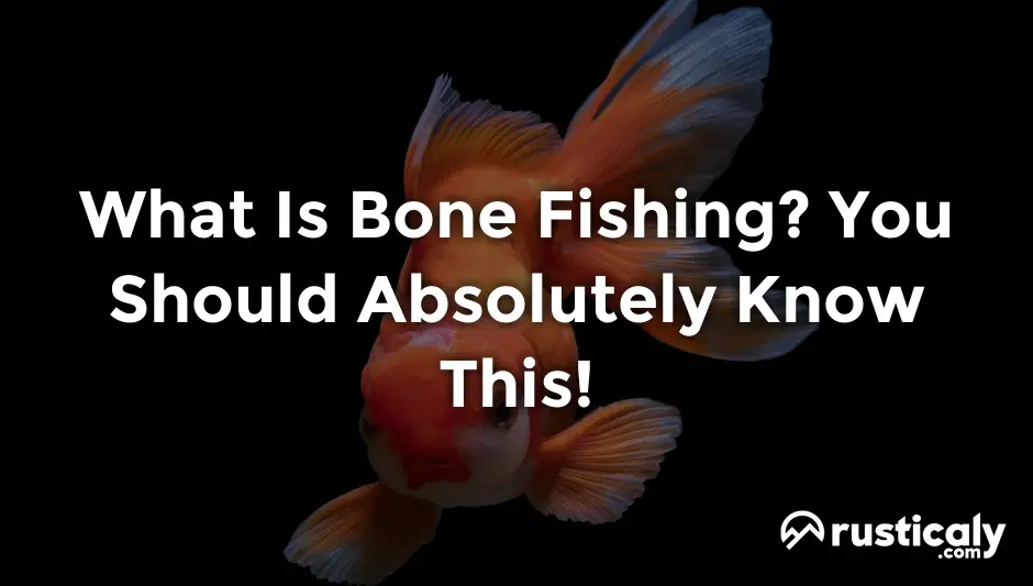what is bone fishing