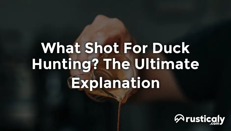 what shot for duck hunting
