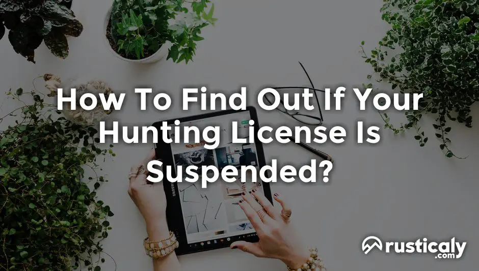 how to find out if your hunting license is suspended