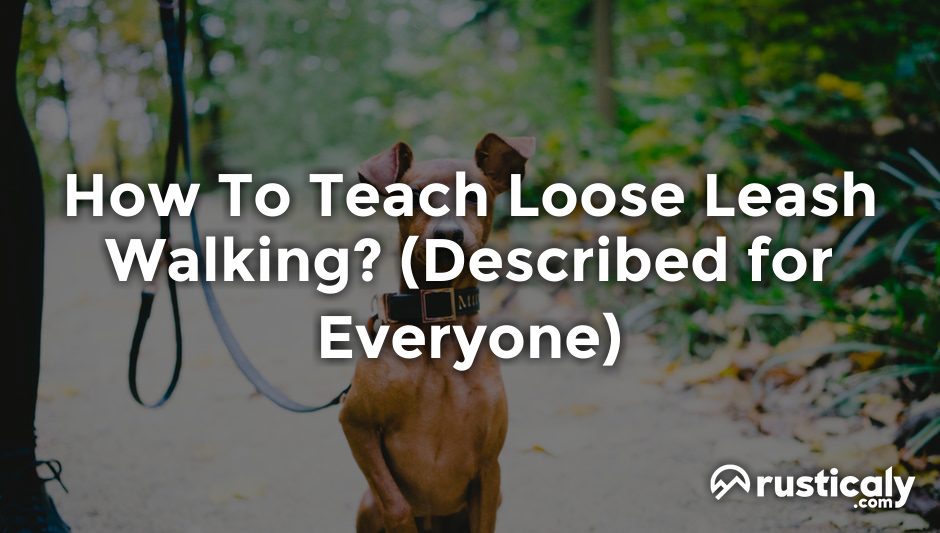 how to teach loose leash walking