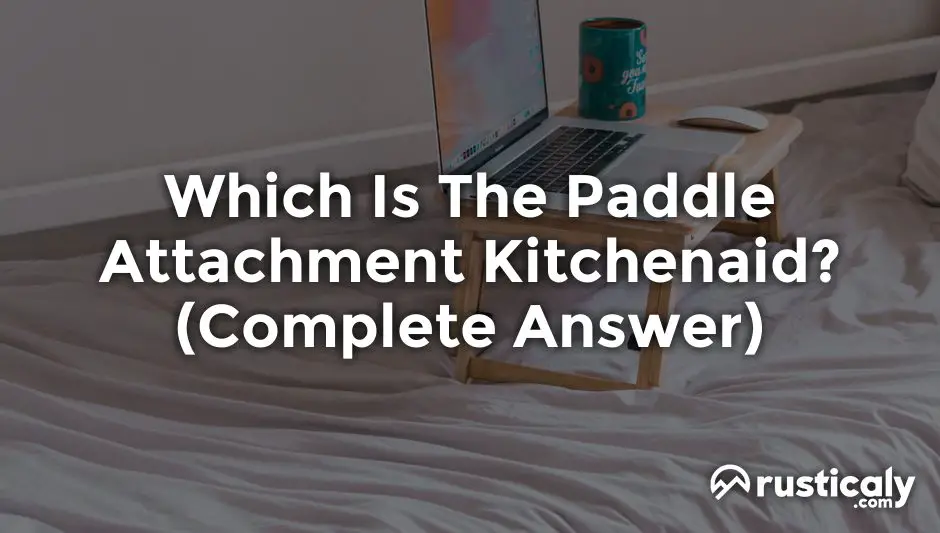 Which Is The Paddle Attachment Kitchenaid? Complete Explanation