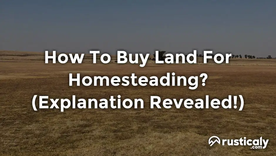 how to buy land for homesteading