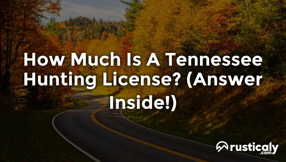 how much is a tennessee hunting license?
