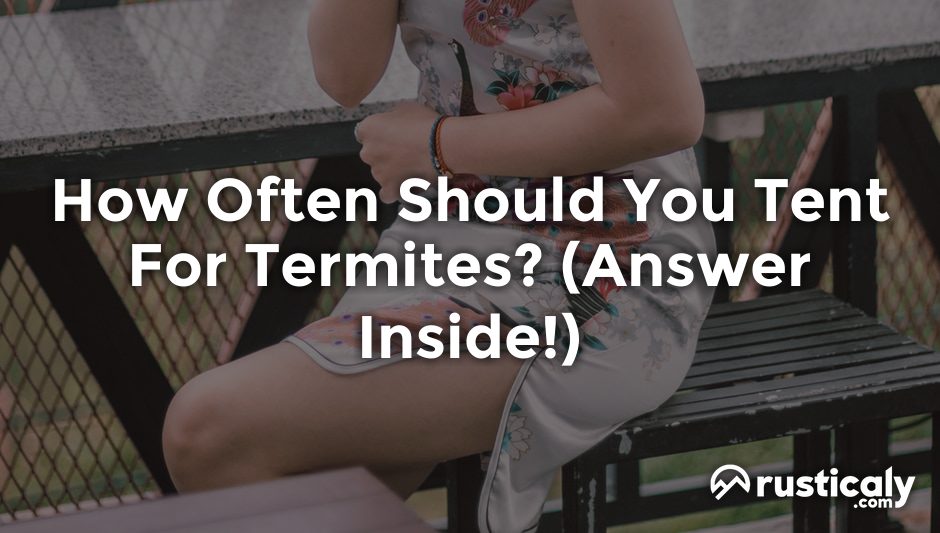 how often should you tent for termites