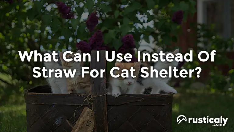 what can i use instead of straw for cat shelter
