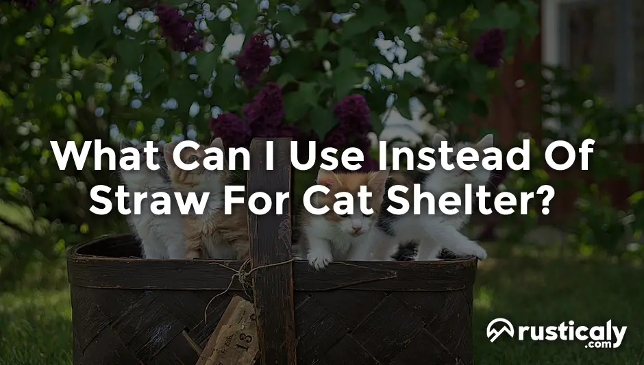 what can i use instead of straw for cat shelter