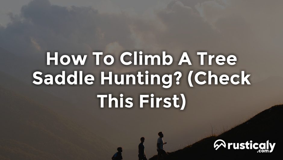 how to climb a tree saddle hunting