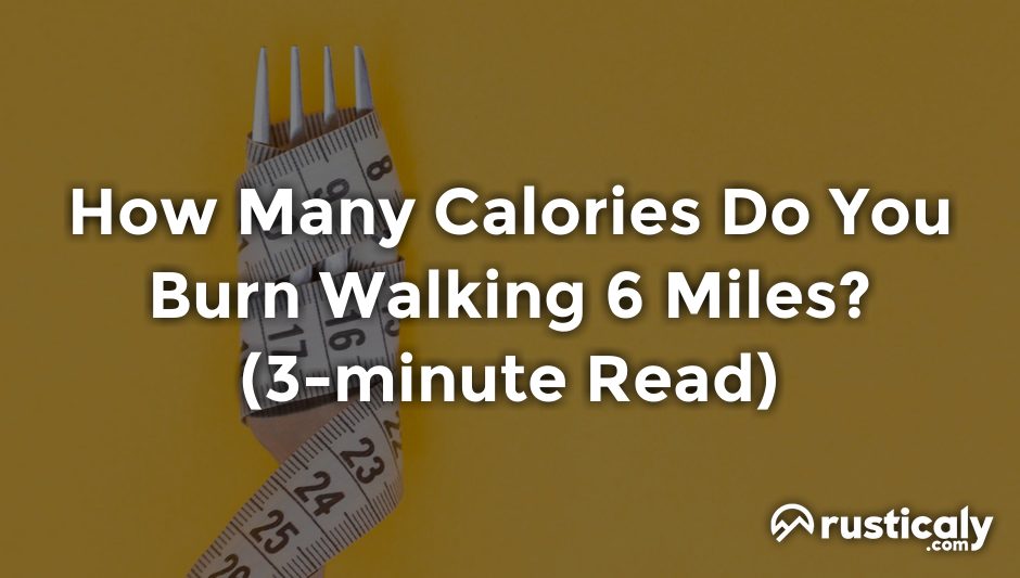 how many calories do you burn walking 6 miles