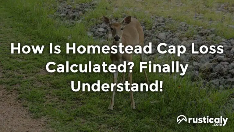 how is homestead cap loss calculated