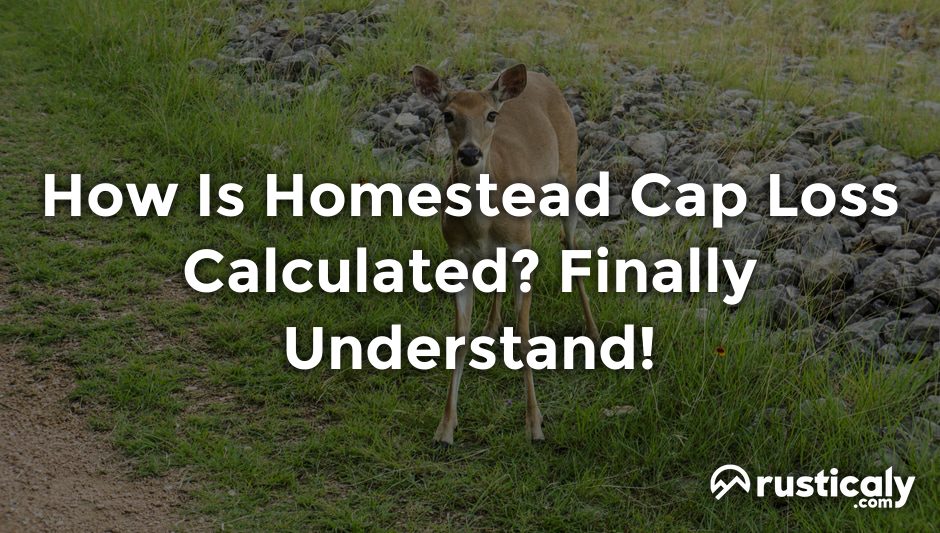 how is homestead cap loss calculated
