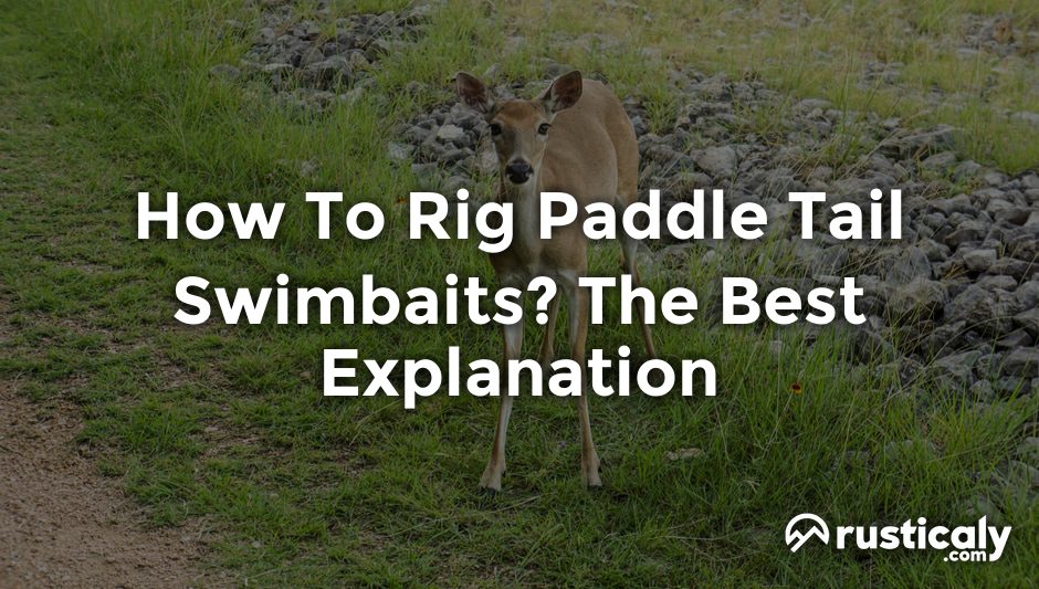 how to rig paddle tail swimbaits