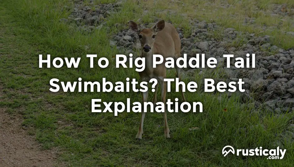 how to rig paddle tail swimbaits