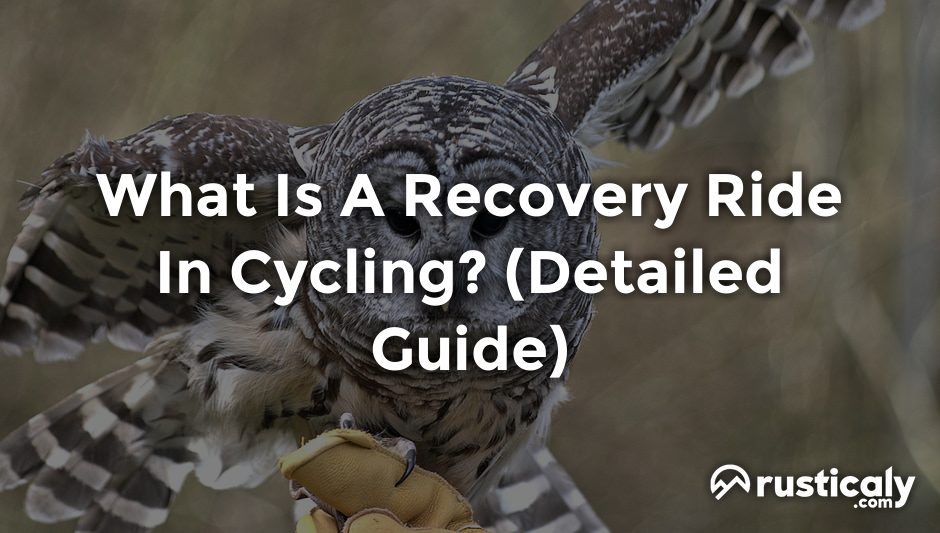 what is a recovery ride in cycling