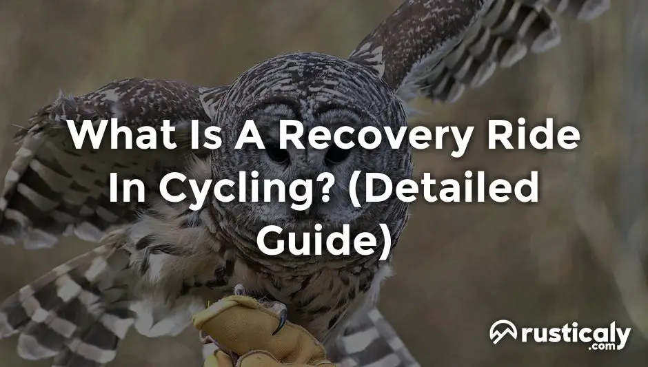 active recovery cycling