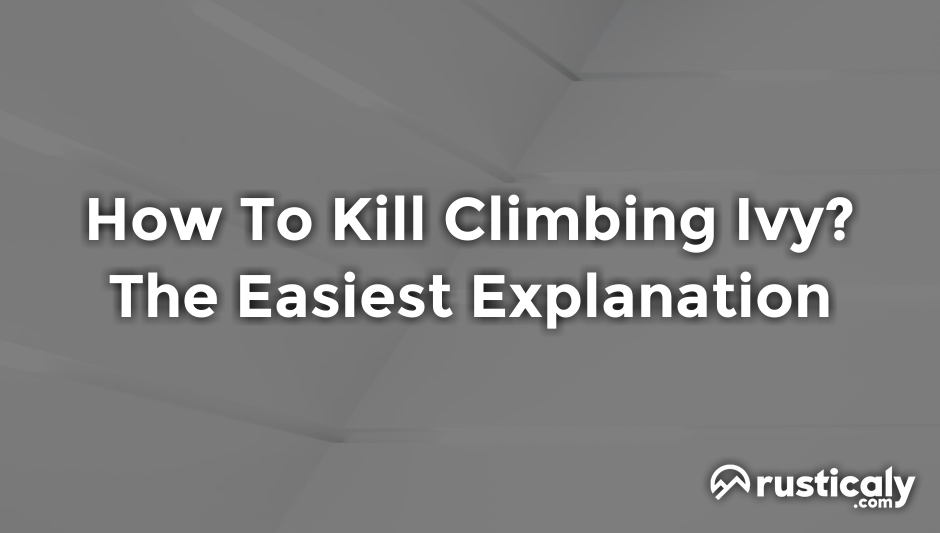 how to kill climbing ivy