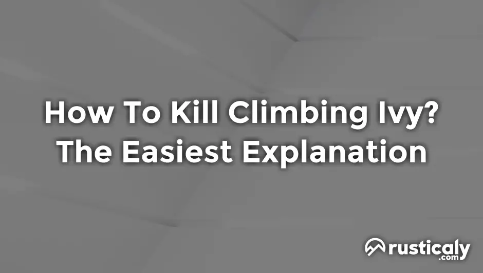 how to kill climbing ivy