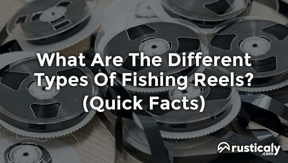 what are the different types of fishing reels
