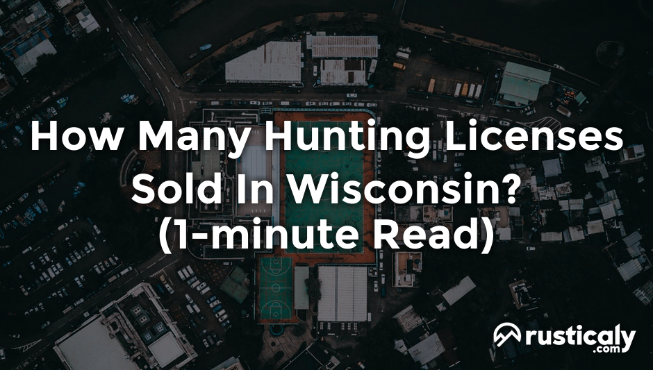 how many hunting licenses sold in wisconsin