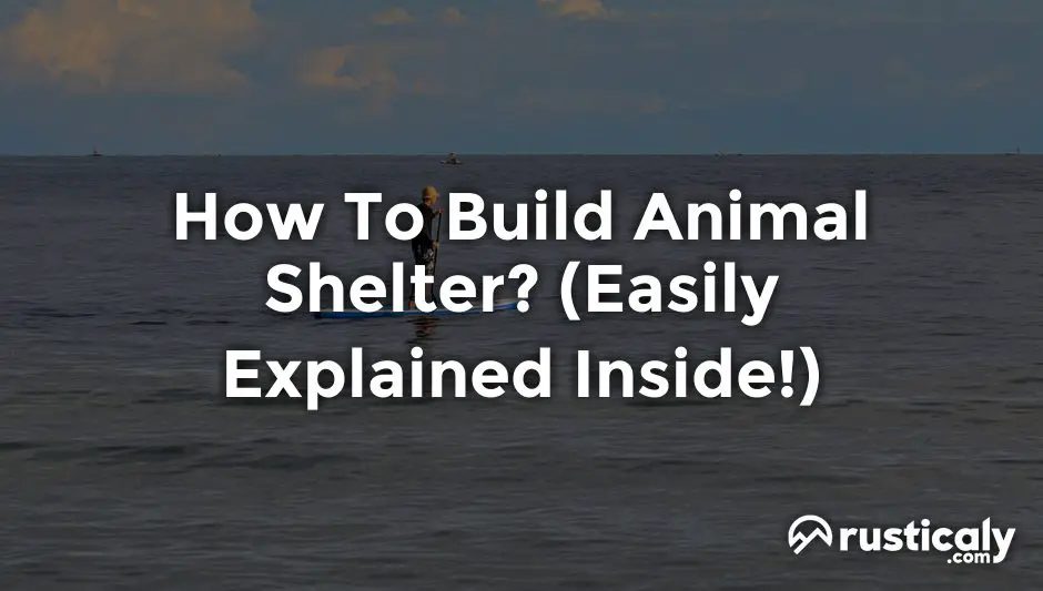 how to build animal shelter