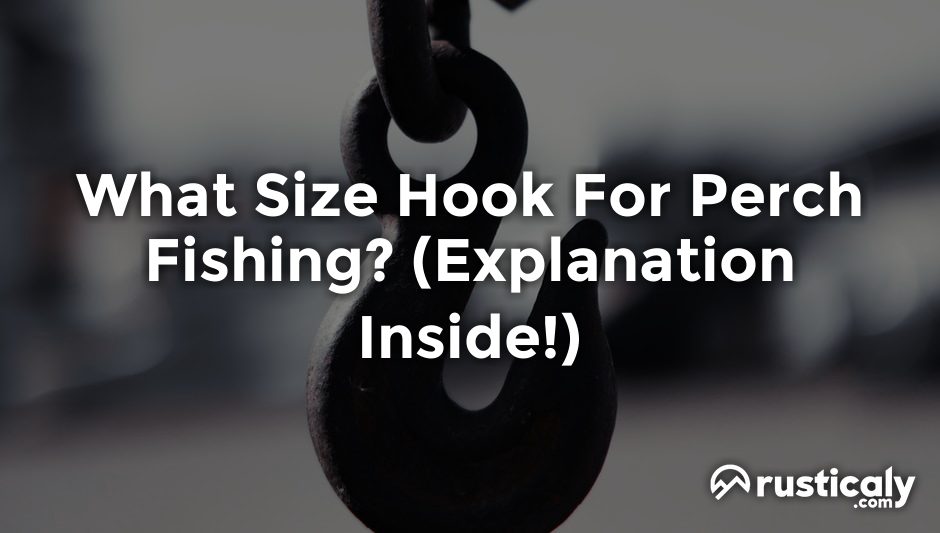 what size hook for perch fishing