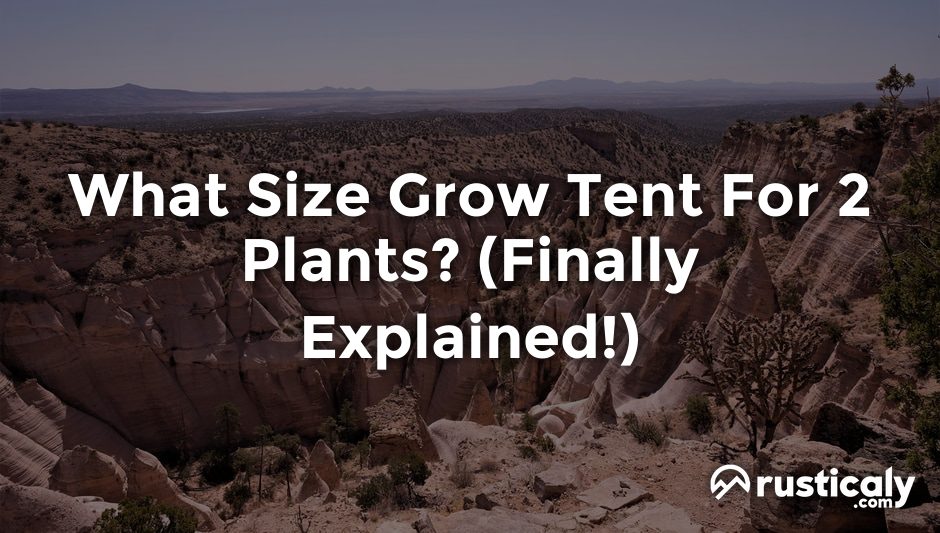 what size grow tent for 2 plants