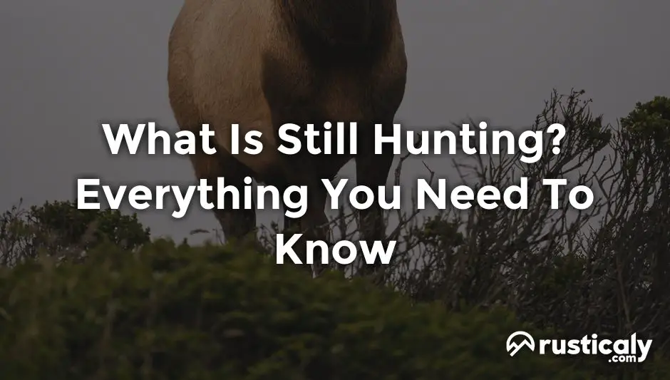 what is still hunting