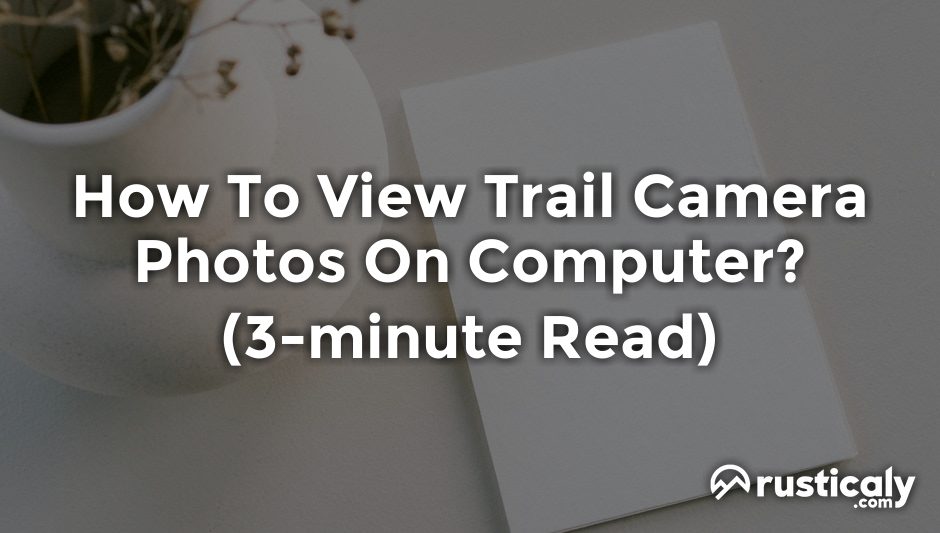 how to view trail camera photos on computer