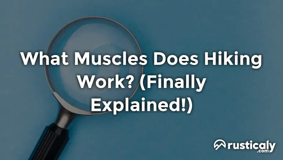 what muscles does hiking work