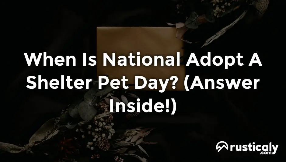 when is national adopt a shelter pet day