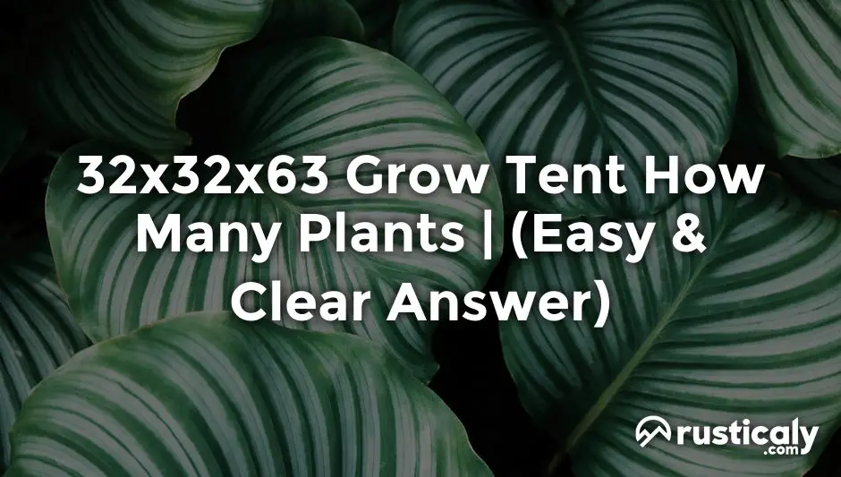 32x32x63 grow tent how many plants