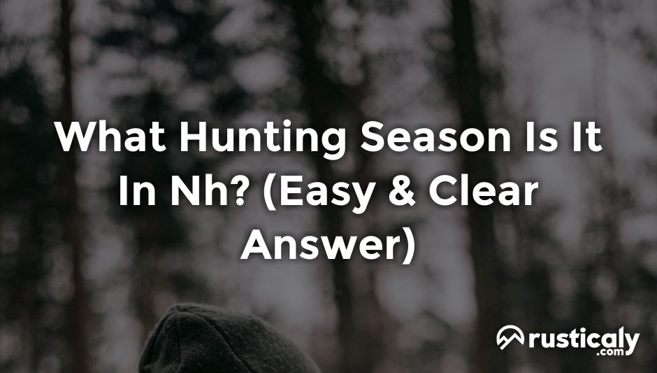 What Hunting Season Is It In Nh? (Easy & Clear Answer)