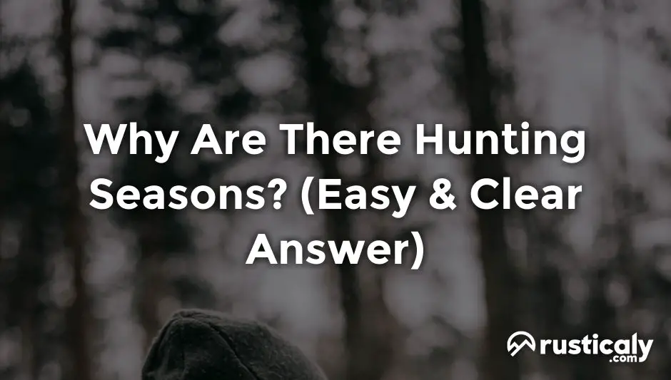 why are there hunting seasons